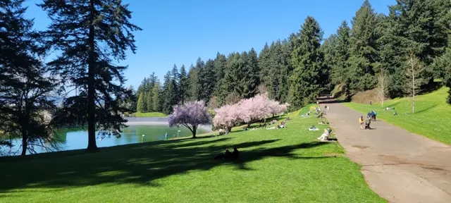 Mt. Tabor Nature Park in Portland, Oregon