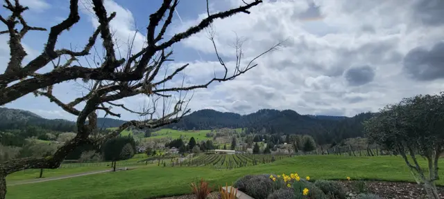McMinnville, Oregon