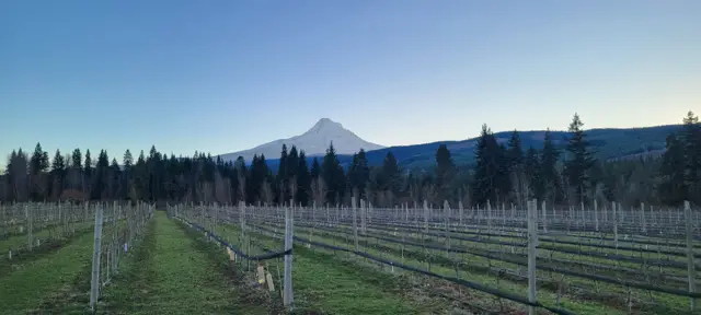 Mount Hood, North Face. Hood River, Oregon.