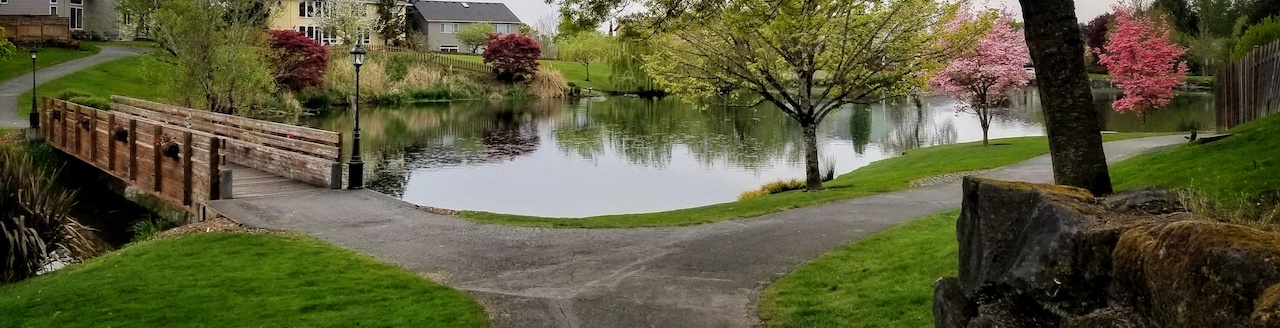 Orchard Lake, Damascus, Oregon