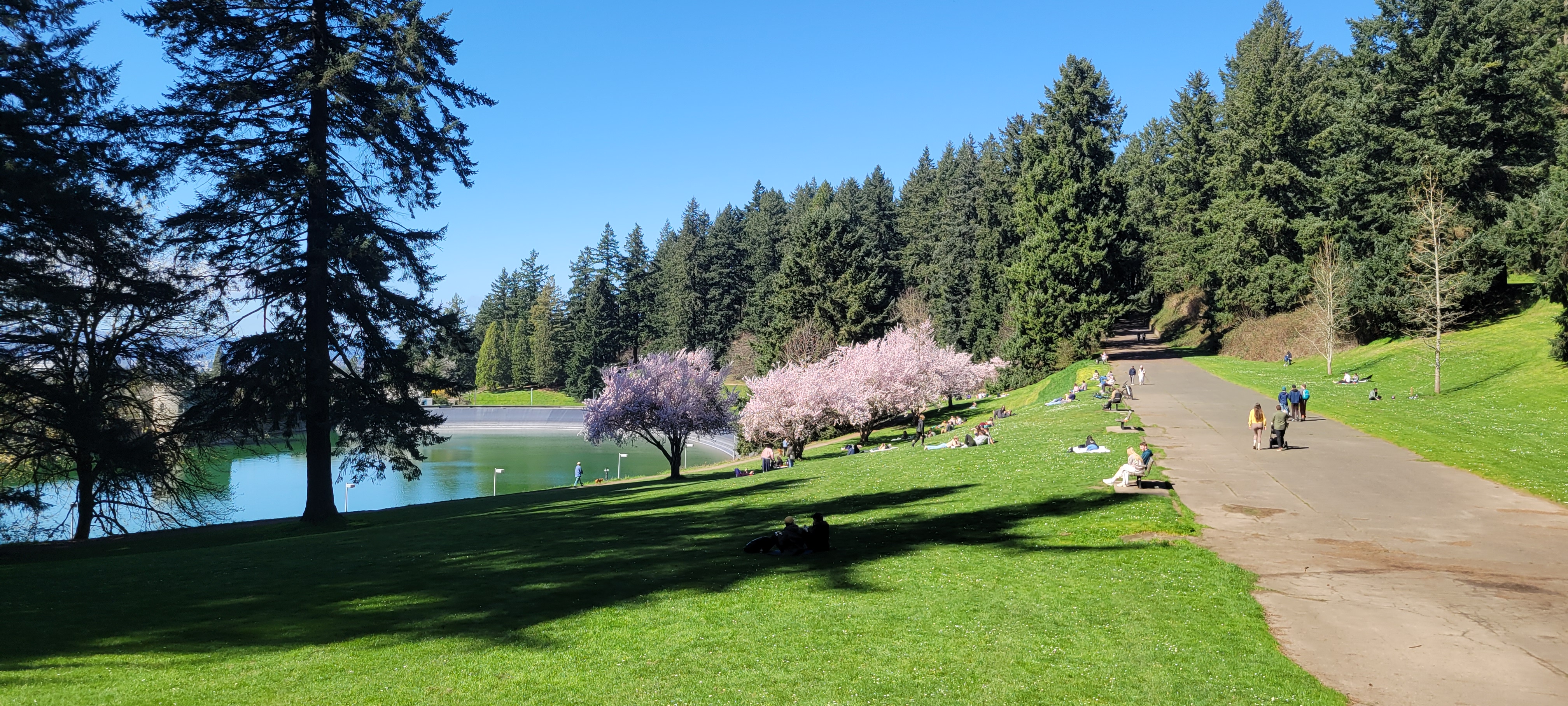 Mt. Tabor Nature Park in Portland, Oregon