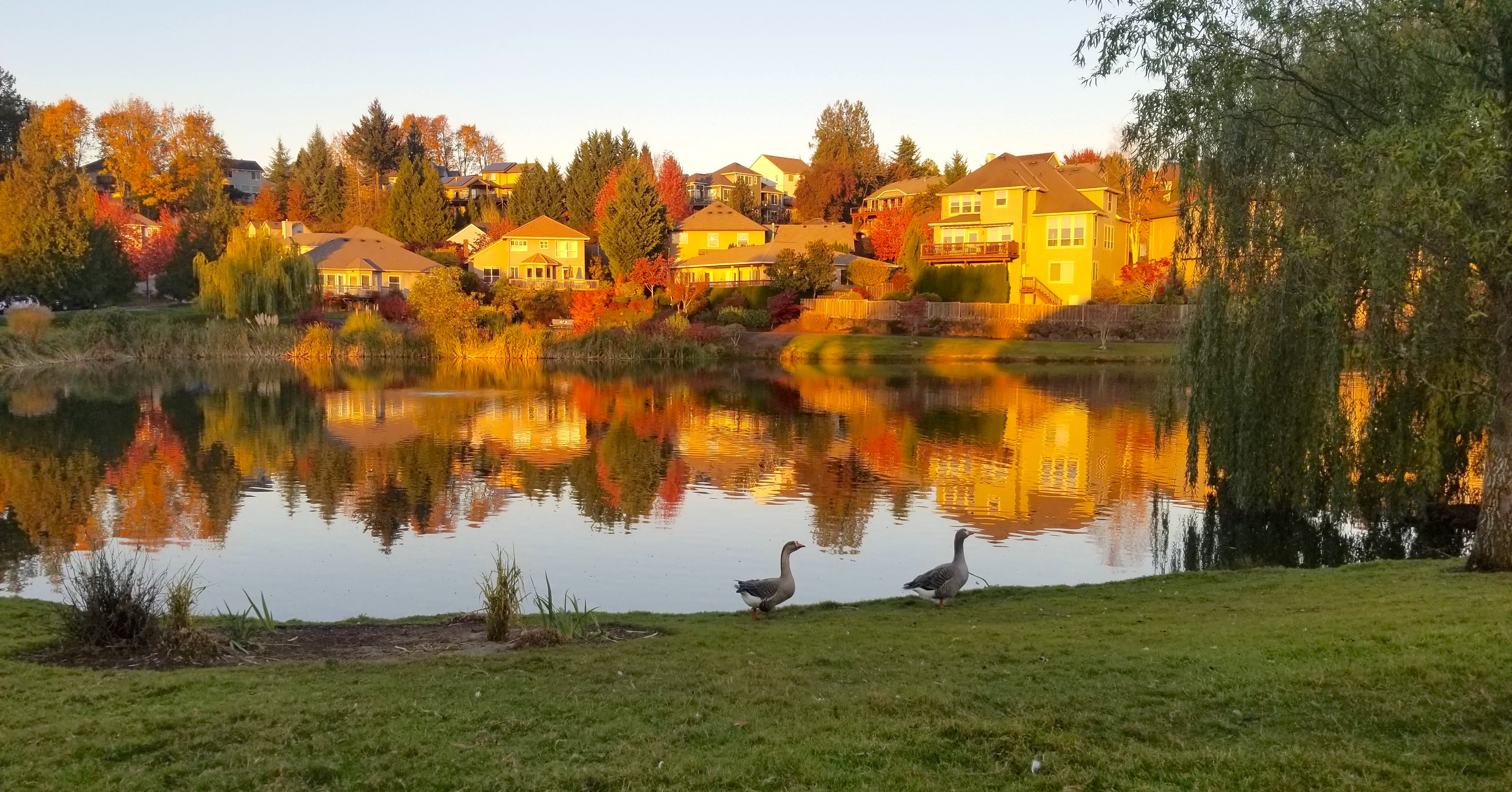 Hank and Betsie by the Lake